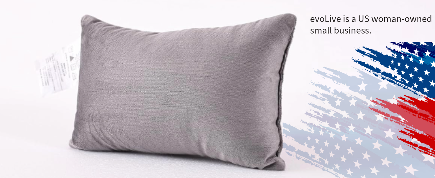 EVOLIVE 2-Pack Micromink Shell Gray Mini Pillows