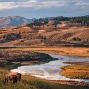 Best National Parks to Visit in the US: A Guide to 25+ Parks for Every Traveller