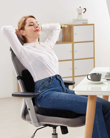 seat cushion and lumbar pillow