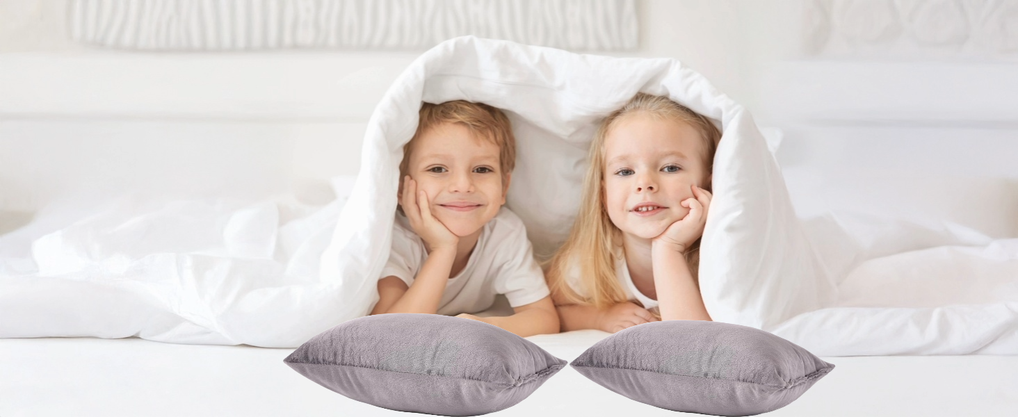 EVOLIVE 2-Pack Micromink Shell Gray Mini Pillows