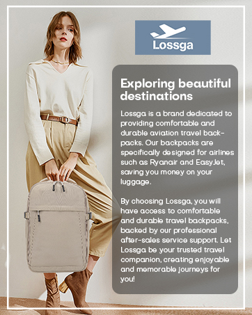 spirit airlines personal item bag 18x14x8