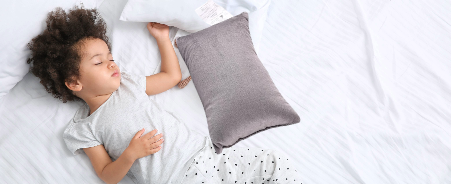 EVOLIVE 2-Pack Micromink Shell Gray Mini Pillows